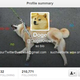 Illustration for article titled Top 10 Twitter Doges Much Followed